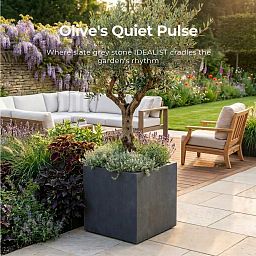 IDEALIST Lite Square Box Contemporary Light Concrete Planter