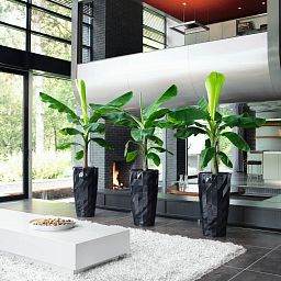 LECHUZA DIAMANTE Premium Glossy Round Tall Poly Resin Self-watering Planter
