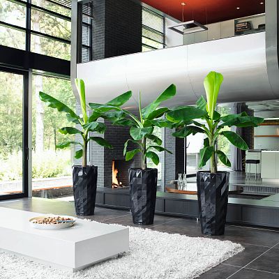 LECHUZA DIAMANTE Premium Glossy Round Tall Poly Resin Self-watering Planter