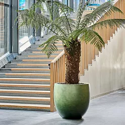 Gradient Large Egg Planter | Polyresin Indoor Plant Pot