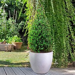 IDEALIST Lite Contemporary Light Concrete Egg Planter