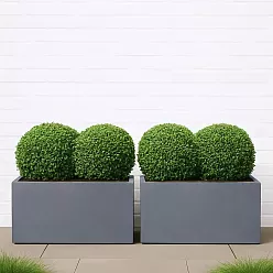 IDEALIST Lite Contemporary Light Concrete High Trough Planter Set