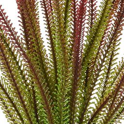 Tipped Flame Retardant Artificial Grass Plant