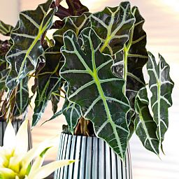 Lines Round Tall Polystone Indoor Planter