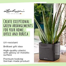 LECHUZA CUBE Glossy Kiss Square Poly Resin Indoor Self-watering Planter