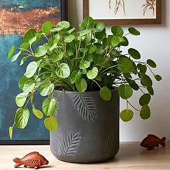 IDEALIST Lite Leaf Embossed Table Indoor Cylinder Round Plant Pot