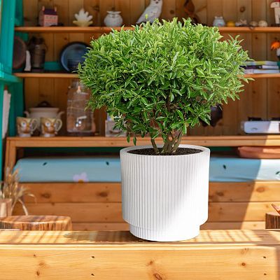 IDEALIST Lite Vertical Ribbed Cylinder Outdoor Planter