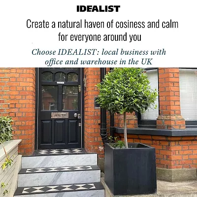 IDEALIST Lite Square Box Contemporary Light Concrete Planter