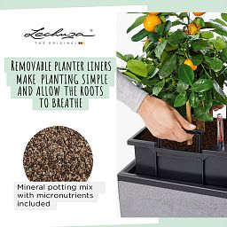 LECHUZA TRIO Stone Trough Poly Resin Self-watering Planter