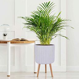 IDEALIST Lite Modern Ribbed Cylinder Planter on Legs, Round Pot Plant Stand Indoor