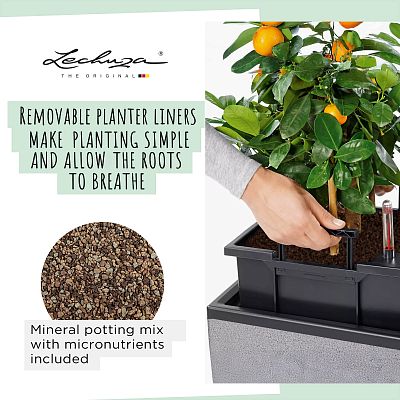 LECHUZA TRIO Stone Trough Poly Resin Self-watering Planter