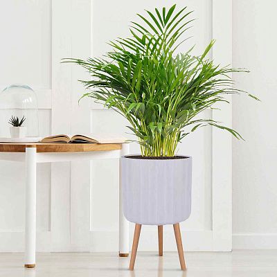 IDEALIST Lite Modern Ribbed Cylinder Planter on Legs, Round Pot Plant Stand Indoor