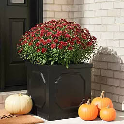 IDEALIST Lite Faux Lead Chelsea Box Square Light Concrete Planter