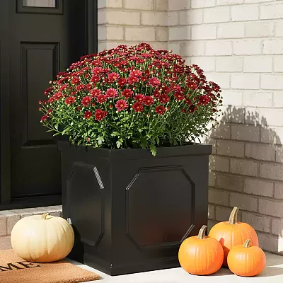 IDEALIST Lite Faux Lead Chelsea Box Square Light Concrete Planter