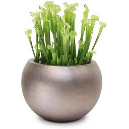 PREMIUM Artificial Flower Plants Sets
