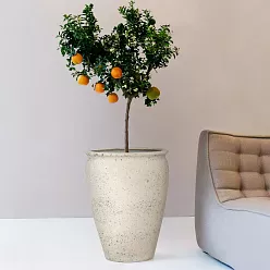 Mediterranean Ficonstone Tall Planter | Indoor and Outdoor Plant Pot Artemis Vase