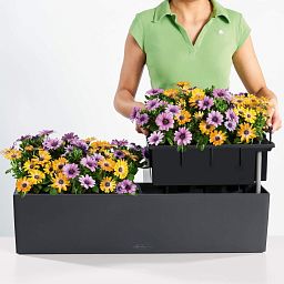 LECHUZA BALCONERA Color Trough Poly Resin Self-watering Planter Set