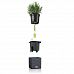 LECHUZA Green Wall Home Kit Color Indoor Self-watering Planter