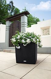 LECHUZA CUBE Cottage Square Poly Resin Self-watering Planter