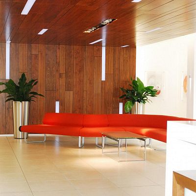 Superline Conica Topper on Ring Tall Indoor Planter