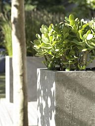 Square Concrete GRC Planter by Fleur Ami DIVISION