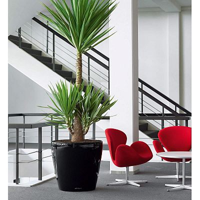 LECHUZA CLASSICO 60|70 Round Poly Resin Self-watering Planter with Substrate