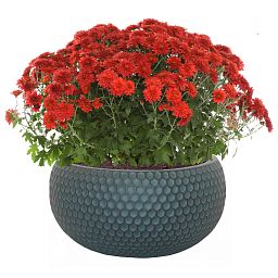 IDEALIST Lite Honeycomb Style Bowl Outdoor Planter