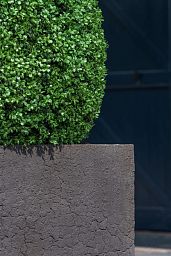 Fibrestone Jumbo Sundried Square Planter by Idealist Premium