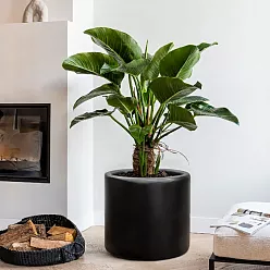 Blend Cylinder Round Planter IN\OUT