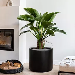 Blend Cylinder Round Planter IN\OUT