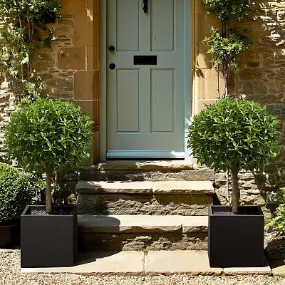 IDEALIST Lite Square Box Contemporary Light Concrete Planter