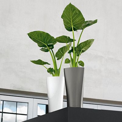 LECHUZA DELTA Round Tall Poly Resin Planter Only
