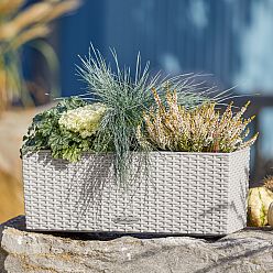 LECHUZA BALCONERA Cottage Trough Poly Resin Self-watering Planter