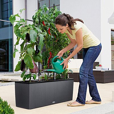 LECHUZA TRIO Cottage Trough Poly Resin Self-watering Planter