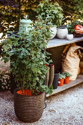 Round Egg Resin Planter by Cadix Capi Tutch Row