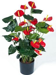 Anthurium Artificial Flower Plant