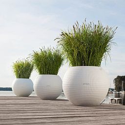LECHUZA PURO Color Round Poly Resin Self-watering Planter