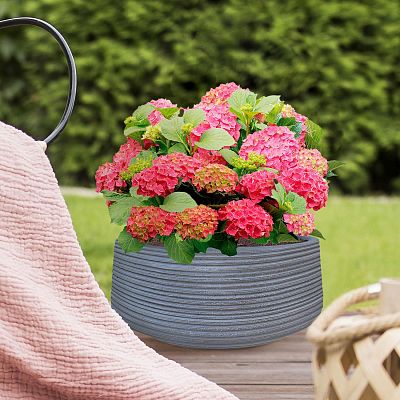 IDEALIST Lite Large Ribbed Light Concrete Bowl Planter