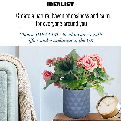 IDEALIST Lite Diamond Style Indoor Hanging Planter