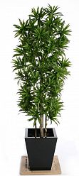 Dracaena Song of Jamaica Flame Retardant Artificial Tree Plant