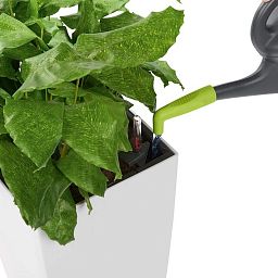 LECHUZA Attachment for Watering Cans Accessory