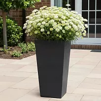 IDEALIST Lite Contemporary Black Light Concrete Garden Tall Planter, O...