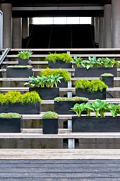 WINDOW BOX Fiberstone Slim Low Planter by Idealist Premium Balcony