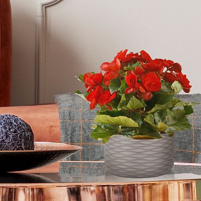 IDEALIST Lite Wave Style Table and Hanging Cylinder Round Plant Pot Dual Use Indoor Planter