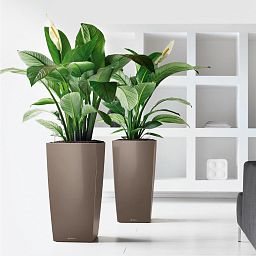 LECHUZA CUBICO Square Tall Poly Resin Self-watering Planter