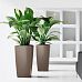 LECHUZA CUBICO Square Tall Poly Resin Self-watering Planter