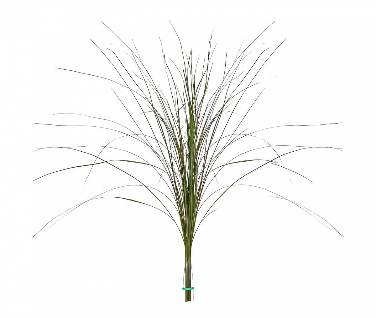 Bear Flame Retardant Artificial Grass Plant