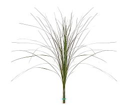 Bear Flame Retardant Artificial Grass Plant