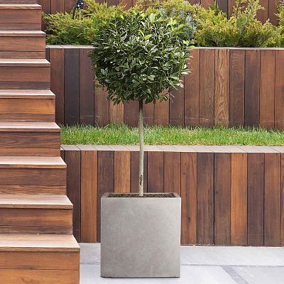 IDEALIST Lite Square Box Contemporary Light Concrete Planter
