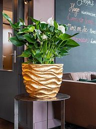 Luxe Lite Glossy Sea Round Indoor Planter